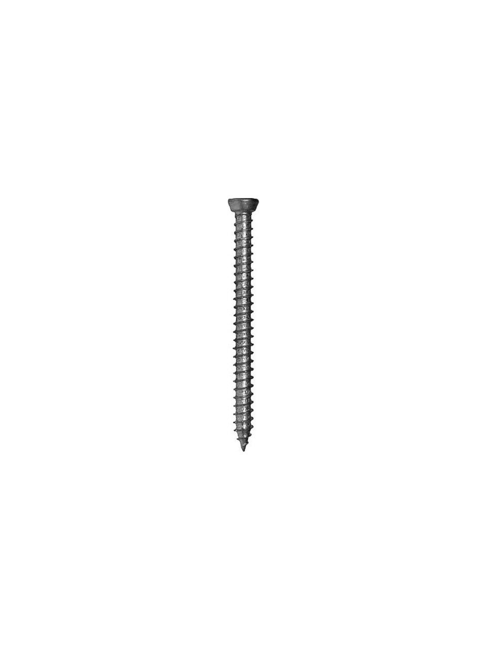 Buldex Beton Vidası Silindir Başlı Torx (100 Adet)
