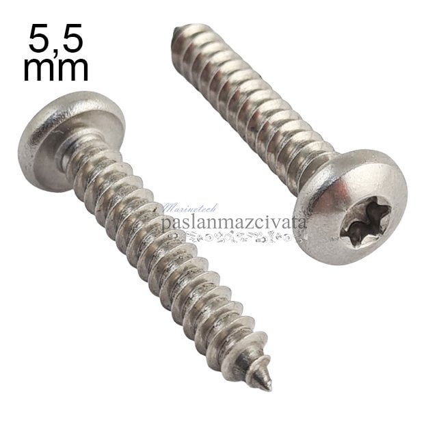 5,5mm Paslanmaz Torx SB Saç Vidası Çeşitleri