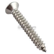 2,9mm Paslanmaz Torx HB Saç Vidası Çeşitleri