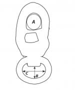 Wichard Speedlink shackle, kayışla bağlantı yapılabilen gözlü 83mm