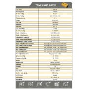 Tam sinüs İnvertör 12V 600W