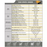 Tam Sinüs İnvertör 12V 1000W