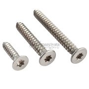 6,3mm Paslanmaz Torx HB Saç Vidası Çeşitleri