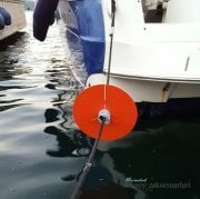 Fare Engelleyici Disk, Halat için Mavi Renk